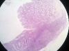 appendix-4