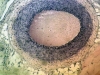 artery-1