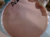dca-2