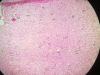 hydropic-change-2