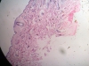Lip -8