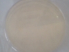nutrient-agar-1