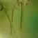 Bebcock Forceps Bebcock Forceps