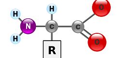 biochemistry
