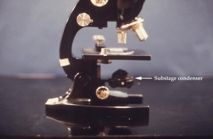 compound microscope