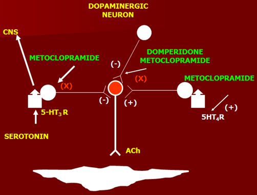 anti emetics